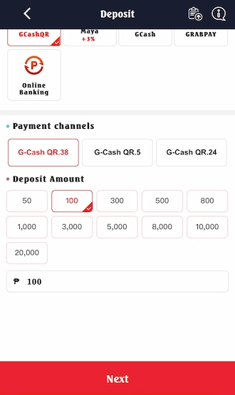 Step 2: Member selects the payment amount recommended.