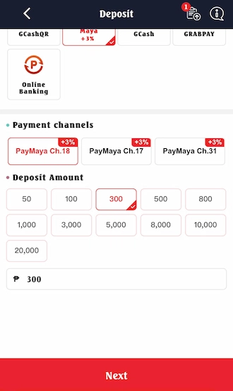 Step 2: select the amount you want to pay and press NEXT.