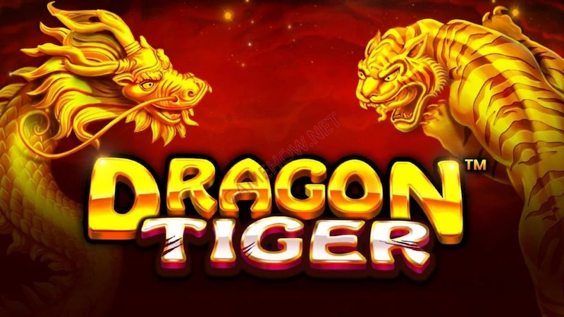 What is a Dragon Tiger? Learn About Dragon Tiger